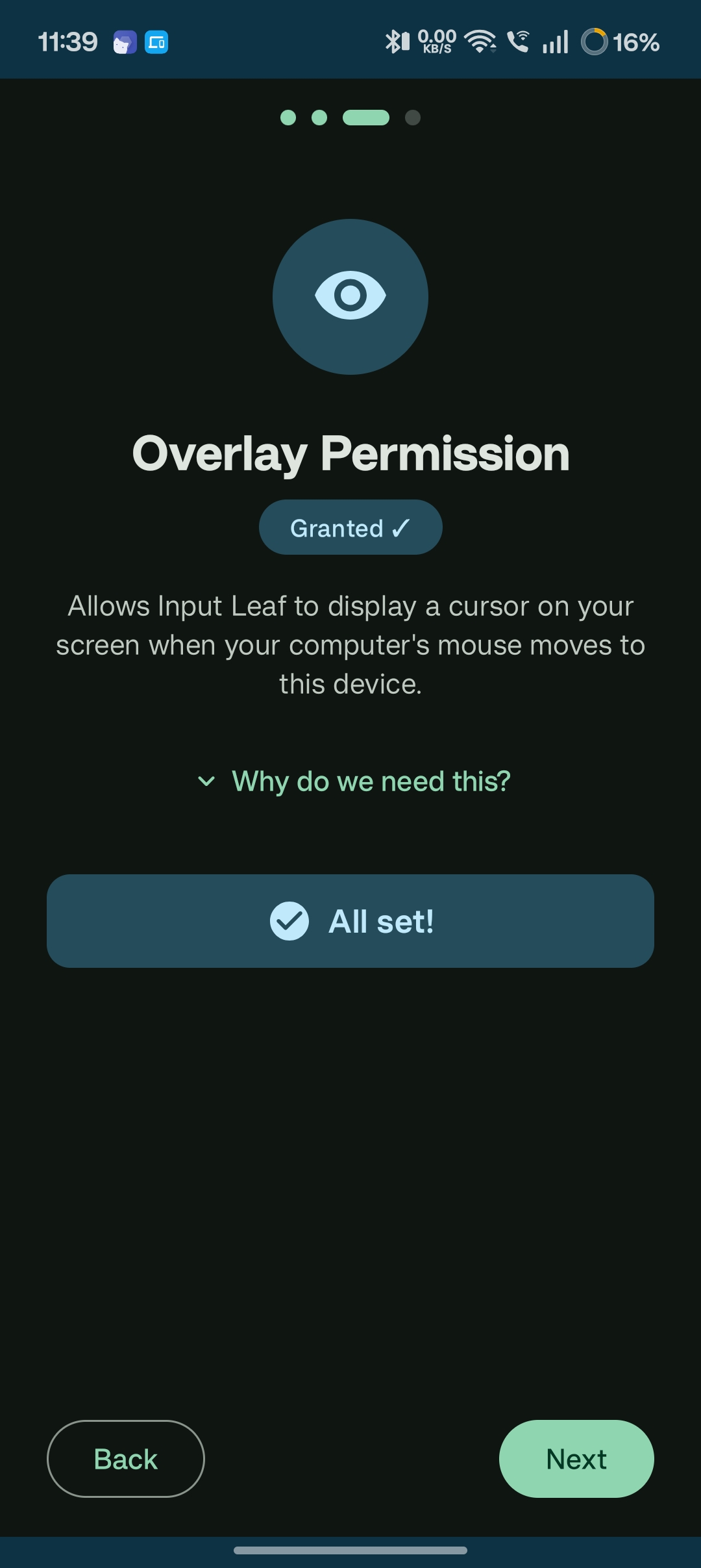 Input Leaf overlay cursor permission screen